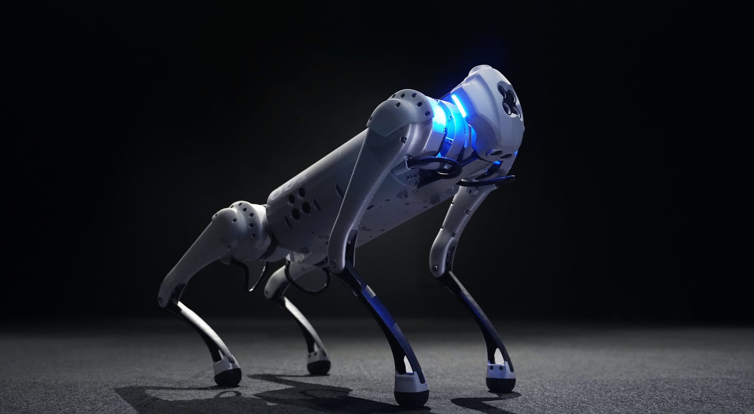 Robot Kontrol & Hareket