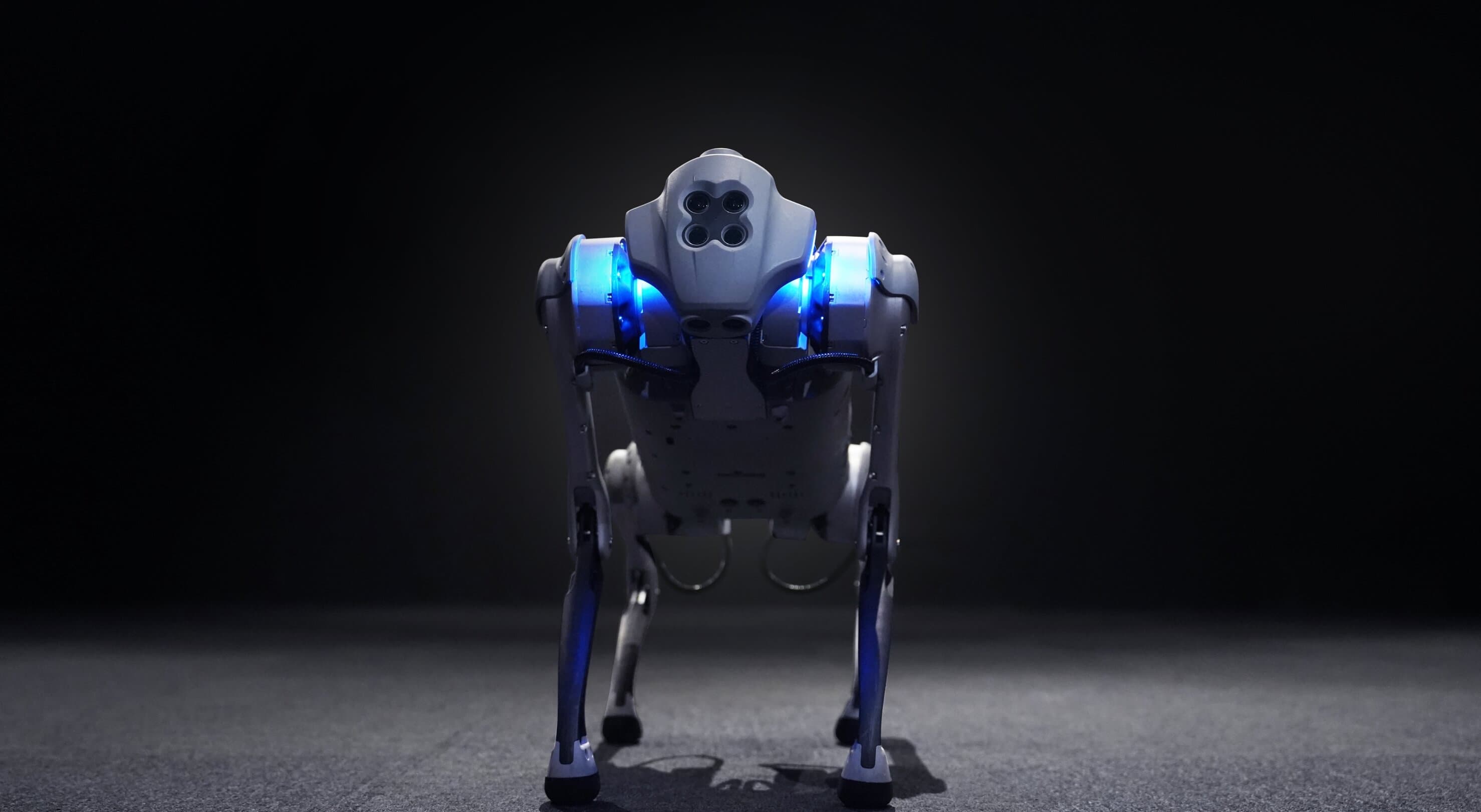 Yapay zeka destekli robot köpek