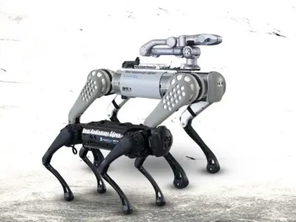 Yapay Zeka ile Uygulamalı Robot Köpek Programlama Kursu