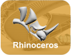 Rhinoceros Architecture